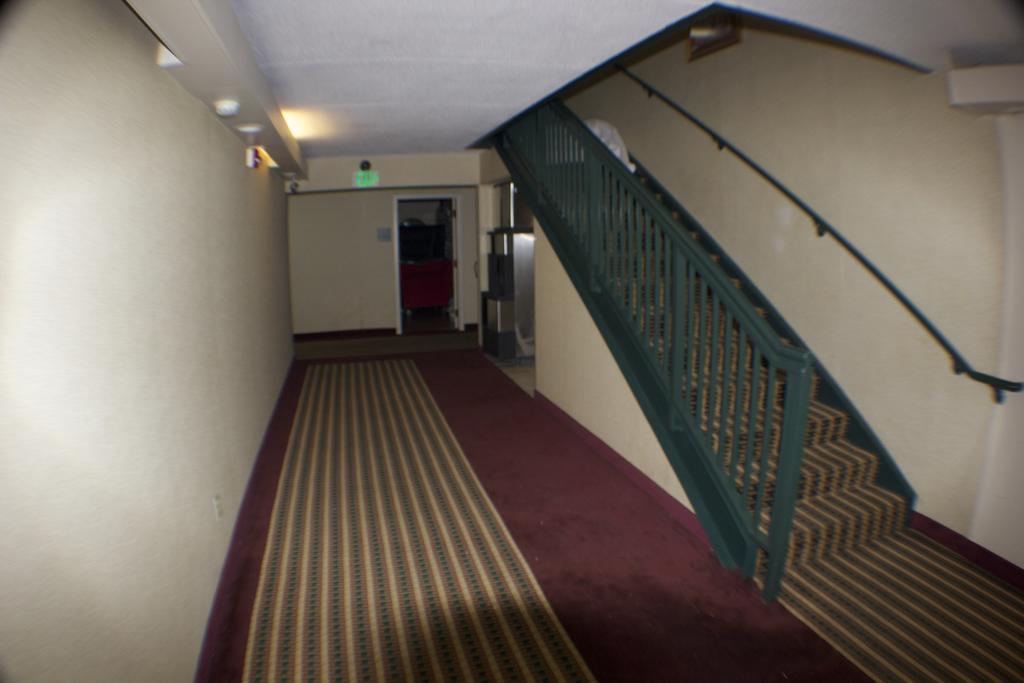 The Garden Hotel 3*
